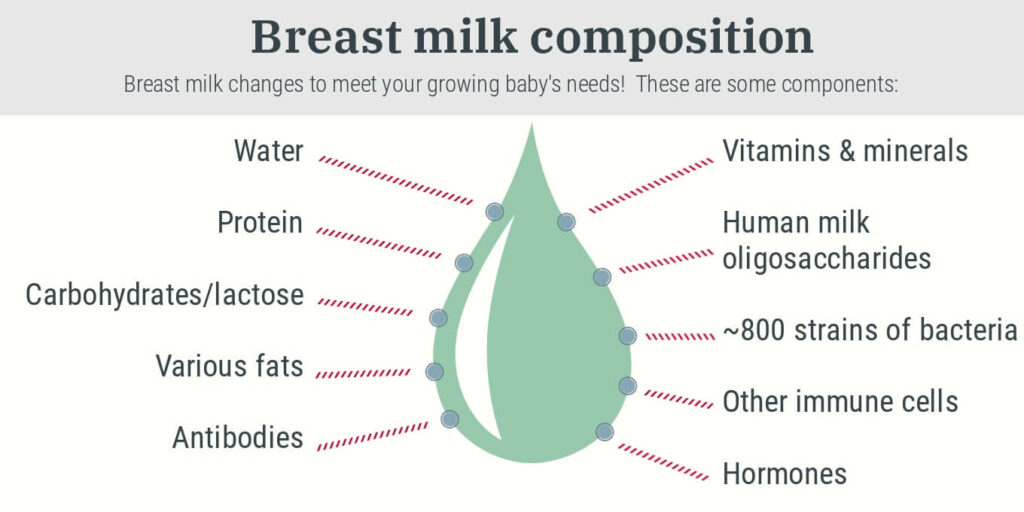 The Nutrient-Rich Qualities of Breast Milk